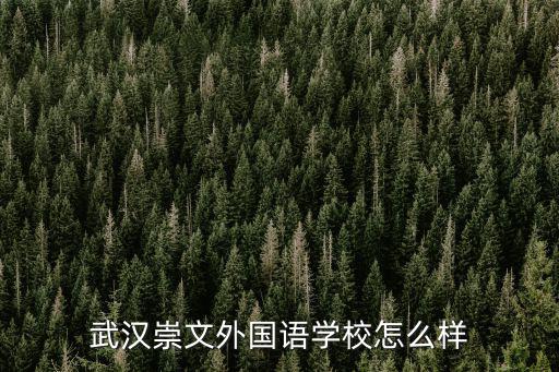 武漢崇文外國(guó)語(yǔ)學(xué)校怎么樣