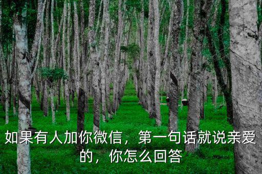 如果有人加你微信，第一句話就說親愛的，你怎么回答