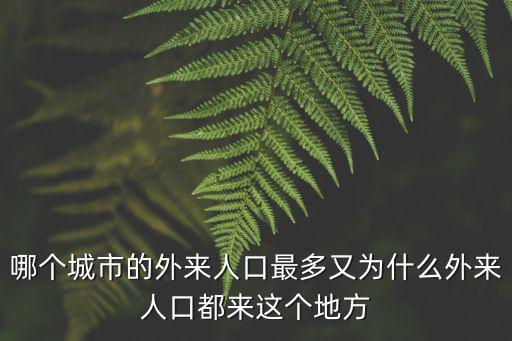 哪個(gè)城市的外來(lái)人口最多又為什么外來(lái)人口都來(lái)這個(gè)地方