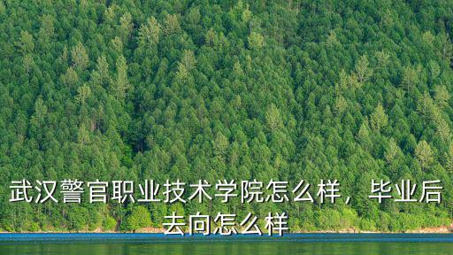 武漢警官職業技術學院怎么樣，畢業后去向怎么樣
