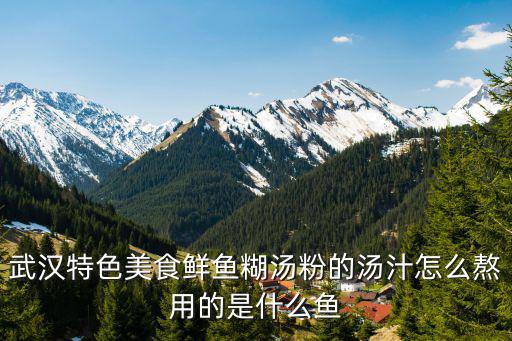 武漢特色美食鮮魚糊湯粉的湯汁怎么熬用的是什么魚
