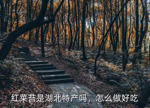 紅菜苔是湖北特產嗎，怎么做好吃