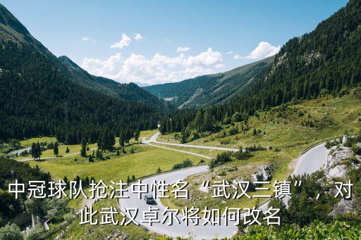 武漢卓爾包廂怎么預(yù)定,武漢怎么又代練
