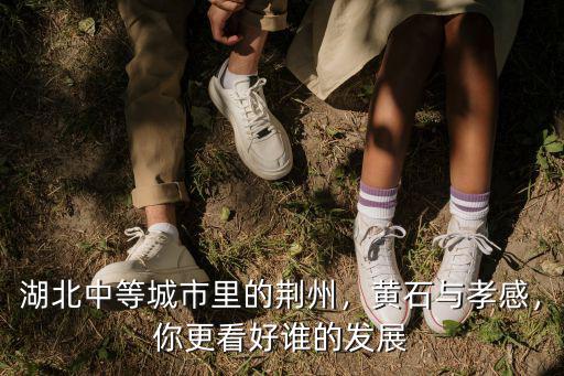 湖北中等城市里的荊州，黃石與孝感，你更看好誰的發展
