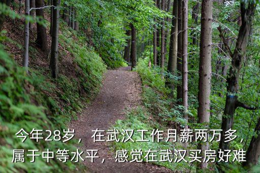 在武漢一個(gè)月2萬(wàn)怎么樣,在武漢收入稅前4萬(wàn)一個(gè)月