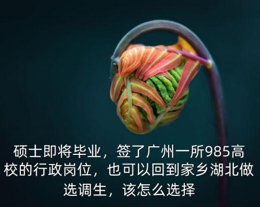 碩士即將畢業，簽了廣州一所985高校的行政崗位，也可以回到家鄉湖北做選調生，該怎么選擇