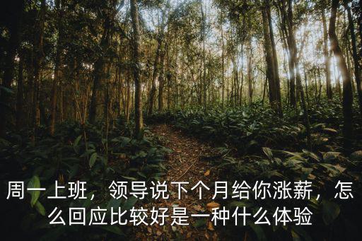 周一上班，領導說下個月給你漲薪，怎么回應比較好是一種什么體驗