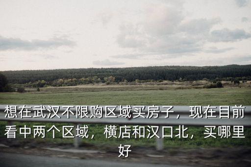 想在武漢不限購區域買房子，現在目前看中兩個區域，橫店和漢口北，買哪里好