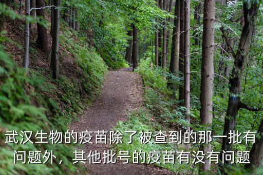 武漢生物的疫苗除了被查到的那一批有問題外，其他批號的疫苗有沒有問題