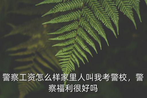 警察工資怎么樣家里人叫我考警校，警察福利很好嗎