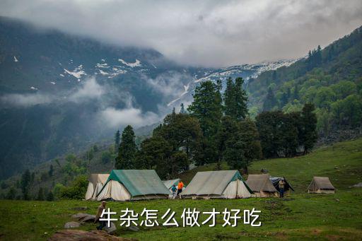 牛雜怎么做才好吃