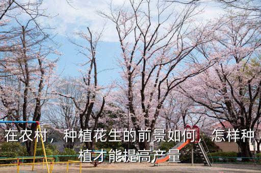 在農村，種植花生的前景如何，怎樣種植才能提高產量