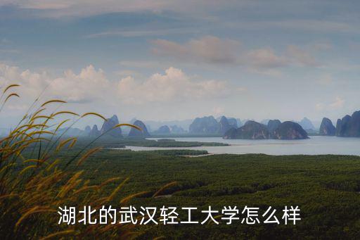 湖北的武漢輕工大學(xué)怎么樣