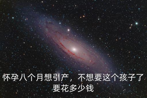 懷孕八個月想引產，不想要這個孩子了要花多少錢
