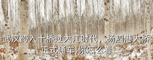 武漢跨入十橋過大江時代，楊泗港大橋正式通車,你怎么看