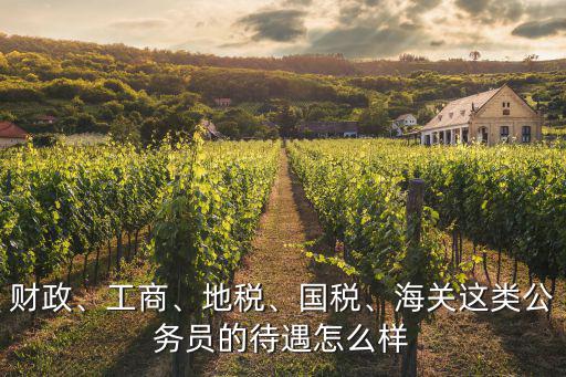 湖北國稅公務(wù)員待遇怎么樣,海關(guān)這類公務(wù)員的待遇怎么樣