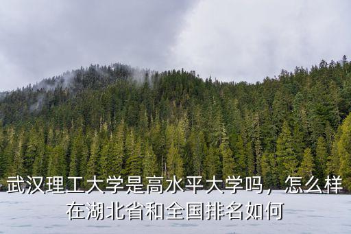 武漢理工大學cuba水平怎么樣,武漢理工大學口碑怎么樣