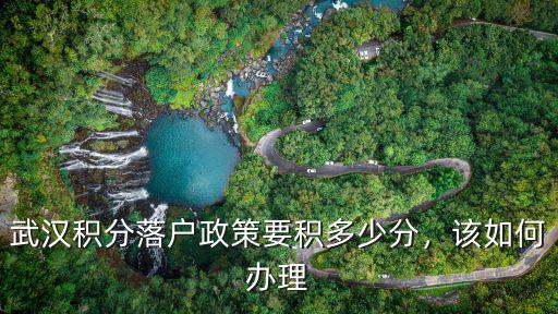 武漢網(wǎng)上積分落戶怎么辦理,武漢積分落戶政策要積多少分