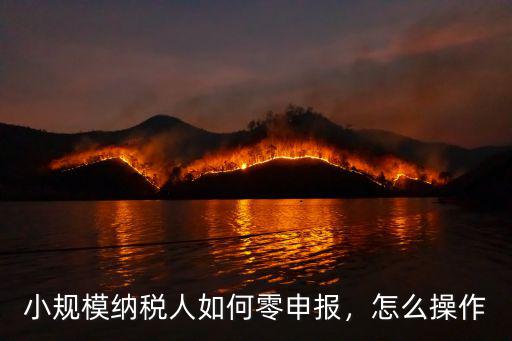 小規模納稅人如何零申報，怎么操作