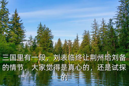 三國里有一段，劉表臨終讓荊州給劉備的情節(jié)，大家覺得是真心的，還是試探的