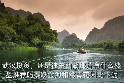 投資武漢東西湖怎么樣,武漢白沙洲和東西湖