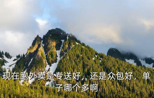 南陽(yáng)市送外賣(mài)哪里單子多,送外賣(mài)為什么有些人單子不斷
