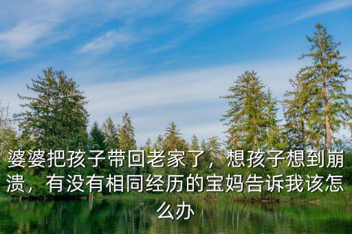 婆婆把孩子帶回老家了，想孩子想到崩潰，有沒有相同經歷的寶媽告訴我該怎么辦