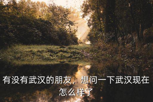 有沒有武漢的朋友，想問一下武漢現在怎么樣了