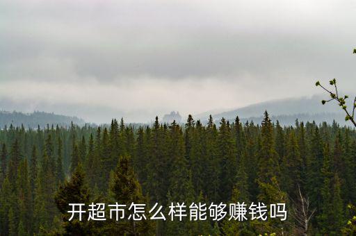 開超市怎么樣能夠賺錢嗎
