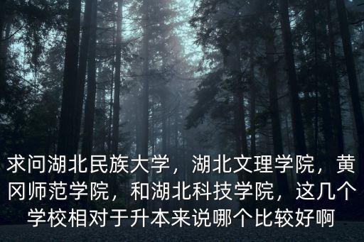 湖北民族大學科技學院食堂怎么樣,求問湖北民族大學