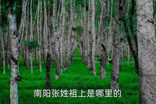 南陽張姓祖上是哪里的
