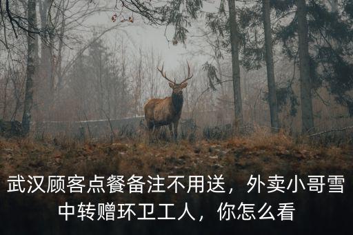武漢顧客點(diǎn)餐備注不用送，外賣小哥雪中轉(zhuǎn)贈(zèng)環(huán)衛(wèi)工人，你怎么看