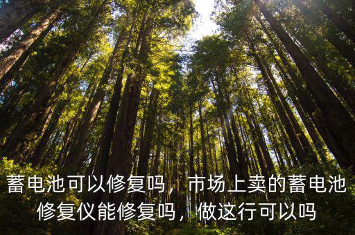 蓄電池可以修復嗎，市場上賣的蓄電池修復儀能修復嗎，做這行可以嗎