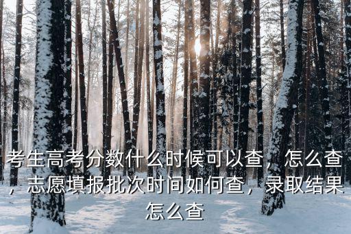 考生高考分?jǐn)?shù)什么時(shí)候可以查，怎么查，志愿填報(bào)批次時(shí)間如何查，錄取結(jié)果怎么查