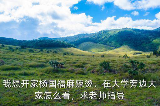 我想開家楊國福麻辣燙，在大學旁邊大家怎么看，求老師指導