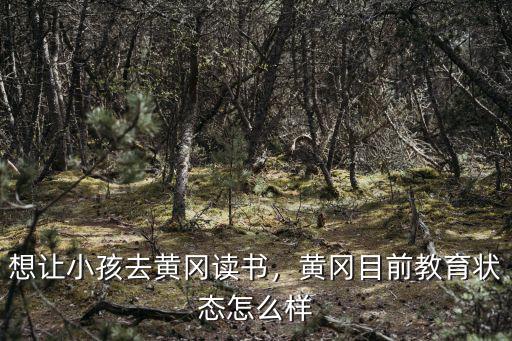 想讓小孩去黃岡讀書，黃岡目前教育狀態怎么樣
