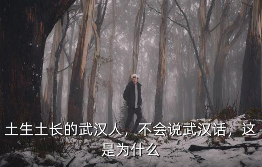 土生土長的武漢人，不會說武漢話，這是為什么