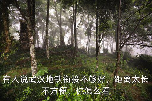 有人說武漢地鐵銜接不夠好，距離太長不方便，你怎么看