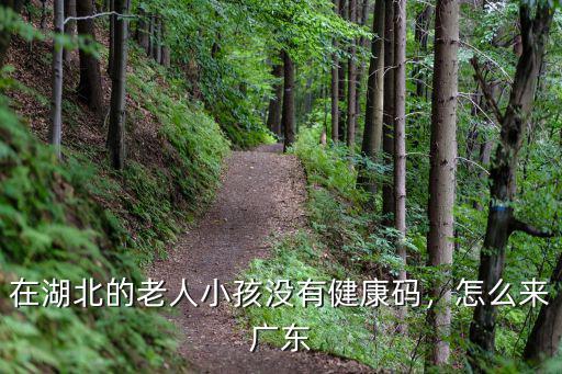 在湖北的老人小孩沒有健康碼，怎么來廣東