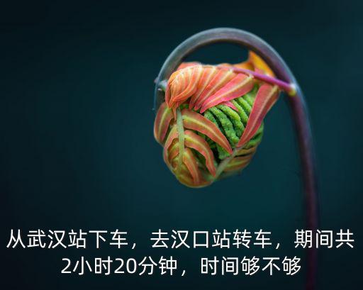 漢口站怎么坐車到武漢站,從武漢站下車