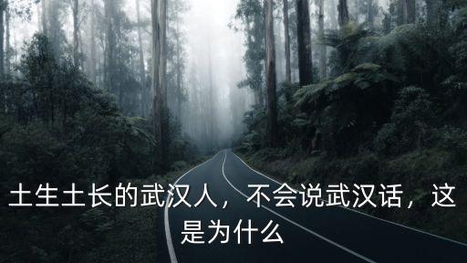 土生土長的武漢人，不會說武漢話，這是為什么