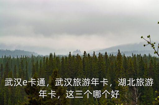 武漢e卡通，武漢旅游年卡，湖北旅游年卡，這三個哪個好