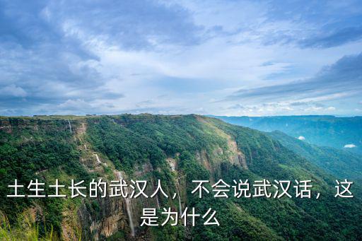 土生土長(zhǎng)的武漢人，不會(huì)說(shuō)武漢話，這是為什么