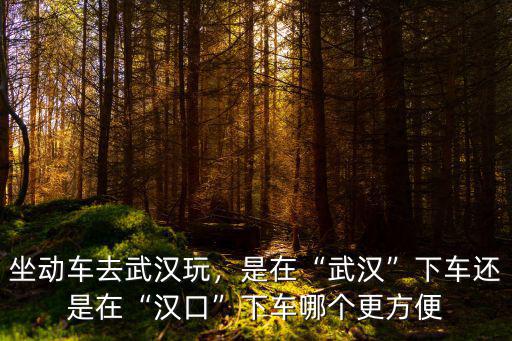 漢口去武漢怎么動(dòng)車(chē)站,坐動(dòng)車(chē)去武漢玩