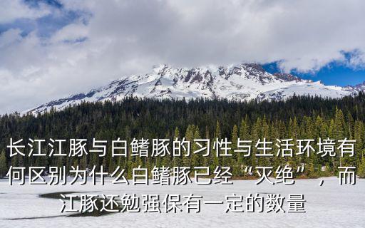 長江江豚與白鰭豚的習性與生活環(huán)境有何區(qū)別為什么白鰭豚已經(jīng)“滅絕”，而江豚還勉強保有一定的數(shù)量
