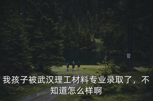 我孩子被武漢理工材料專業(yè)錄取了，不知道怎么樣啊
