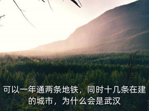 可以一年通兩條地鐵，同時十幾條在建的城市，為什么會是武漢