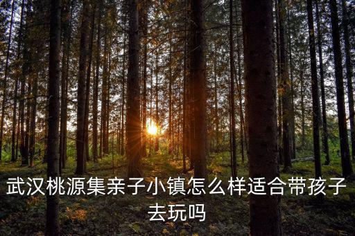 武漢桃源集親子小鎮怎么樣適合帶孩子去玩嗎