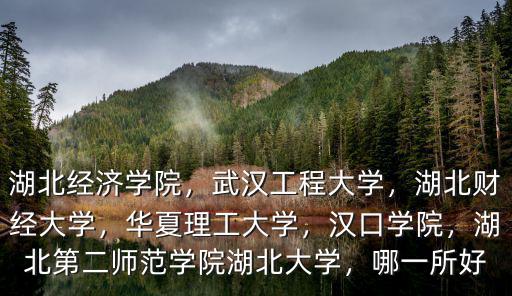 湖北經濟學院，武漢工程大學，湖北財經大學，華夏理工大學，漢口學院，湖北第二師范學院湖北大學，哪一所好