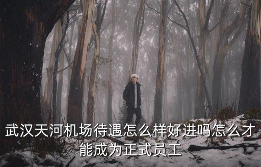 武漢天河機(jī)場(chǎng)待遇怎么樣好進(jìn)嗎怎么才能成為正式員工